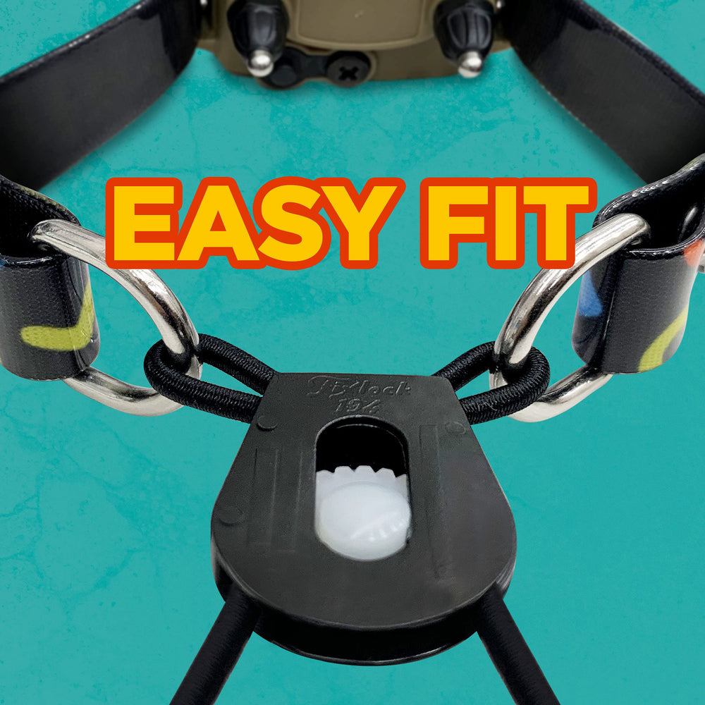 Dogtra Tom Davis Bungee Collar easy-clip system on receiver.