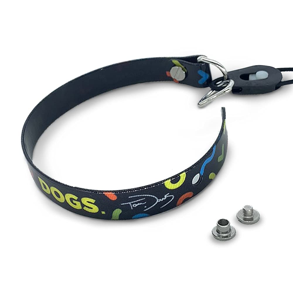 Dogtra Tom Davis Bungee Collar in use during training session.