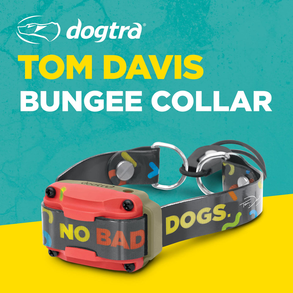 Dogtra Tom Davis Bungee Collar pattern design with NO BAD DOGS motif.