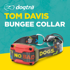 Dogtra Tom Davis Bungee Collar pattern design with NO BAD DOGS motif.