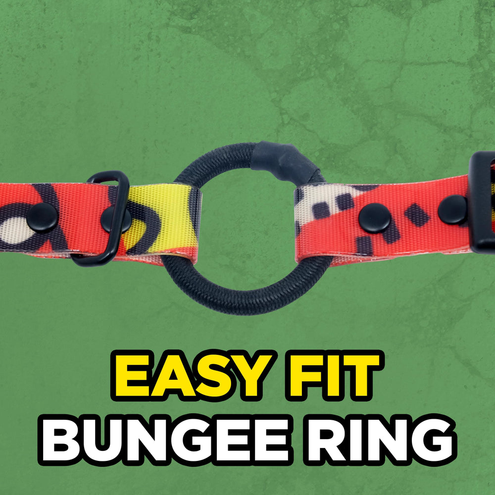 Dogtra Tom Davis No Bad Dogs print strap highlights official design.