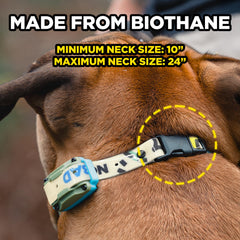 Dogtra Tom Davis waterproof Biothane strap material during training