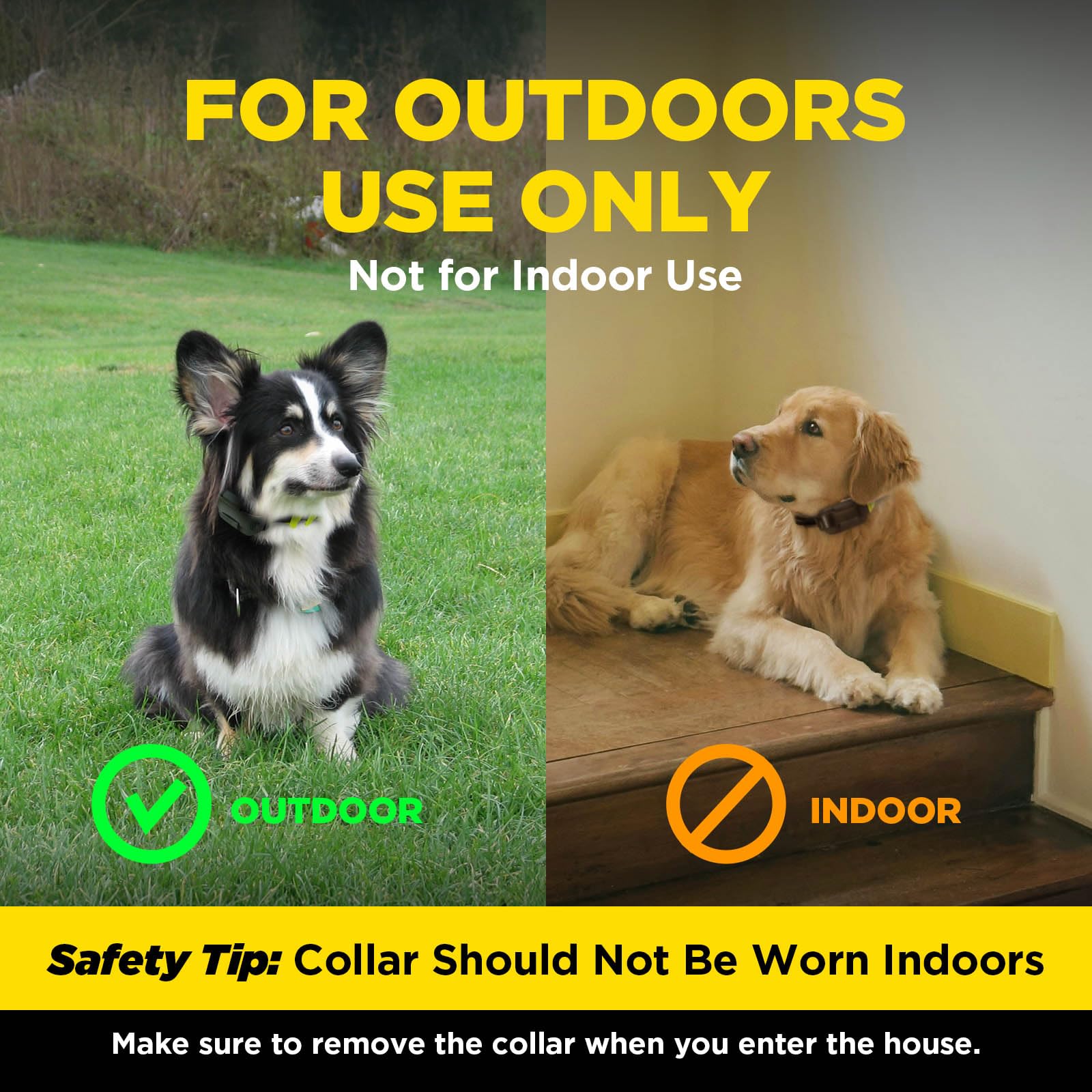 Dogtra support team offers trusted guidance for fence training setup.