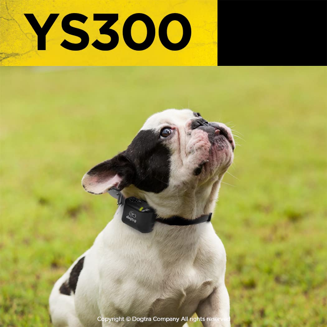 Dogtra YS300 6-level stimulation for customizable training.