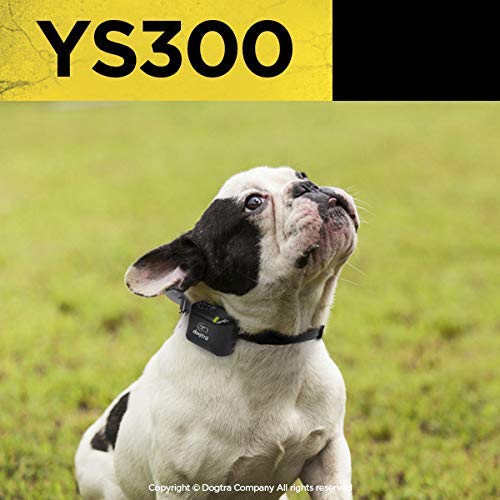 Dogtra YS300 rechargeable battery ensures quick, ready-to-train sessions.