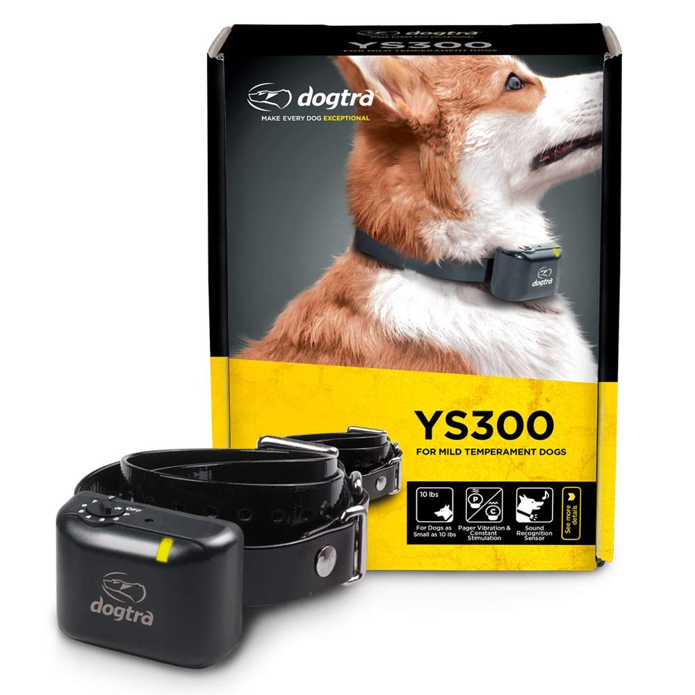 Dogtra YS300 waterproof receiver ready for outdoor training and daily use.
