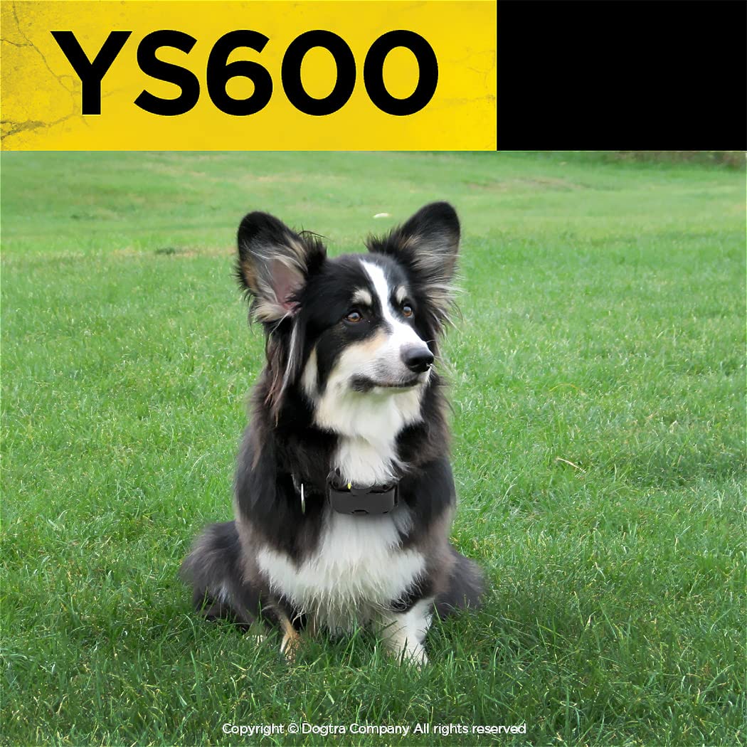 Dogtra YS600 charging indicator shows quick recharge readiness.