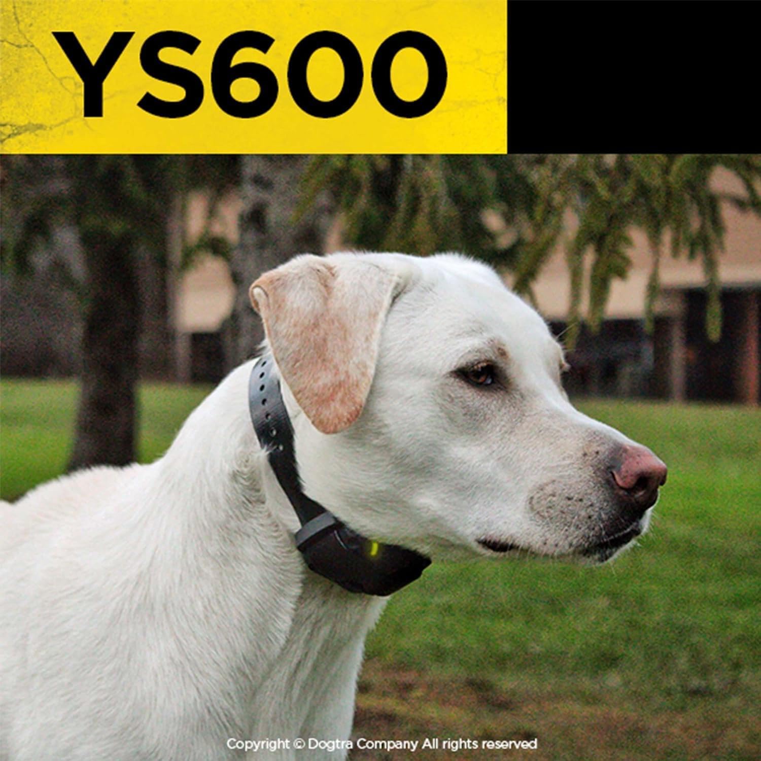 Dogtra YS600 suitable for dogs 35 pounds and up.