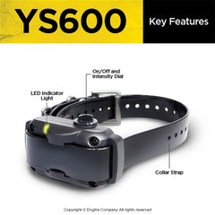 Dogtra YS600 bark detection sensor in action for precise corrections.