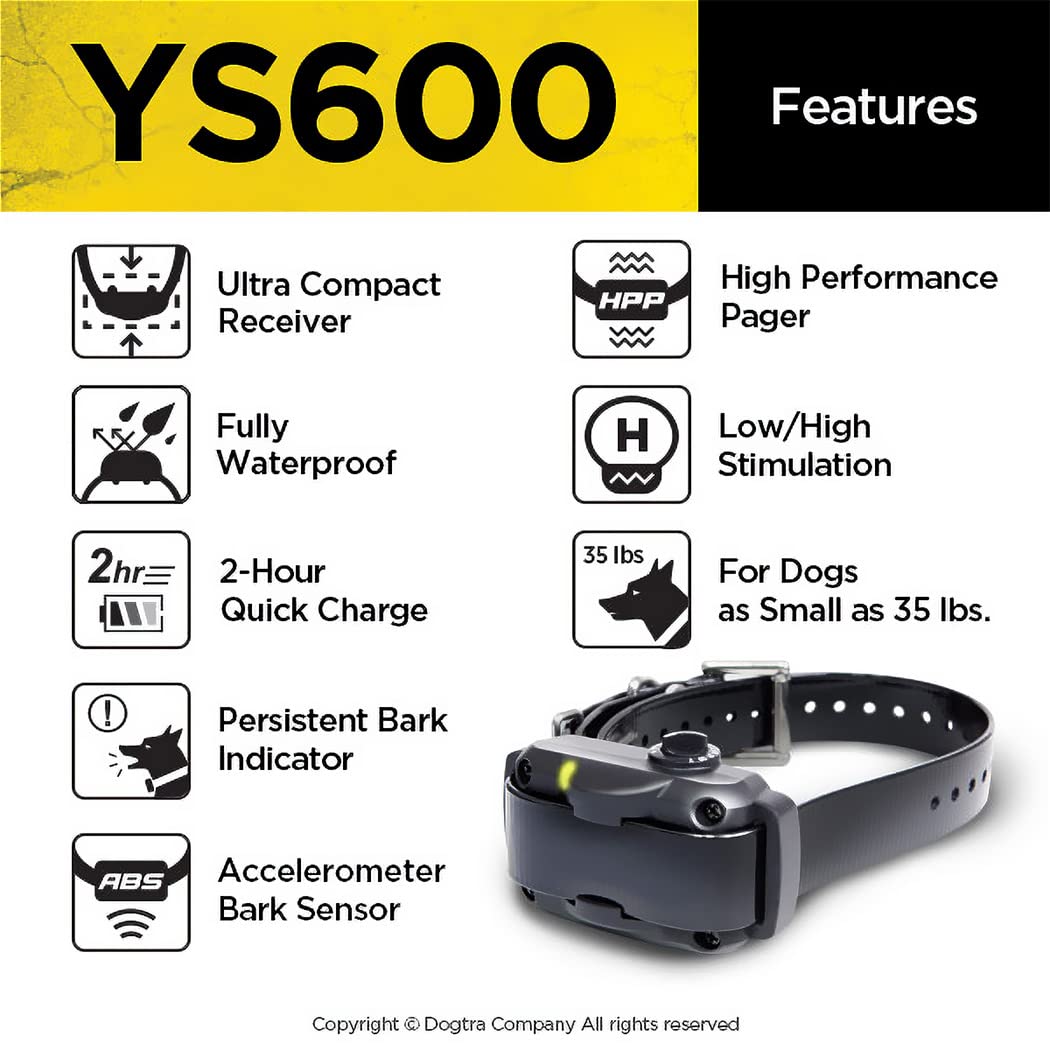 Dogtra YS600 worn on dog showing adjustable fit for medium and large breeds.