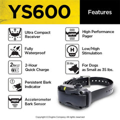 Dogtra YS600 worn on dog showing adjustable fit for medium and large breeds.