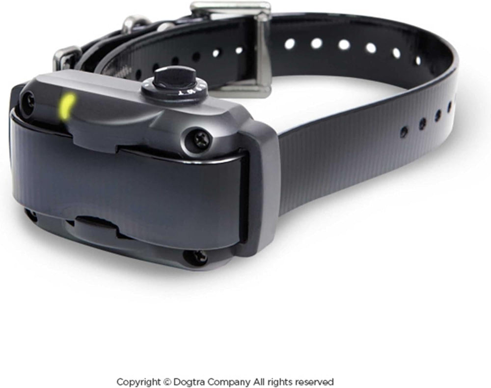 Dogtra YS600 rugged collar for outdoor training in all conditions.