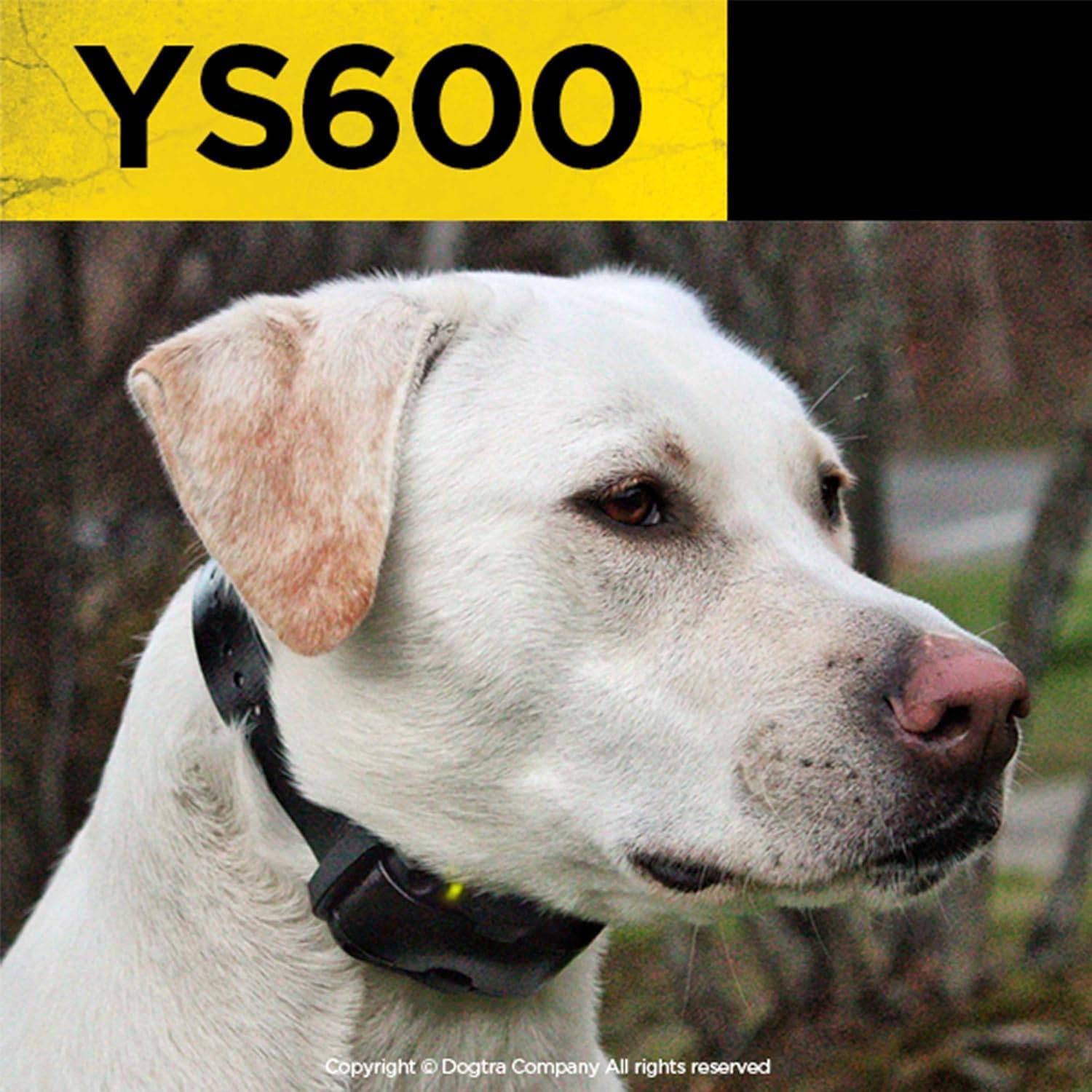 Dogtra YS600 waterproof design for training in rain or mud.