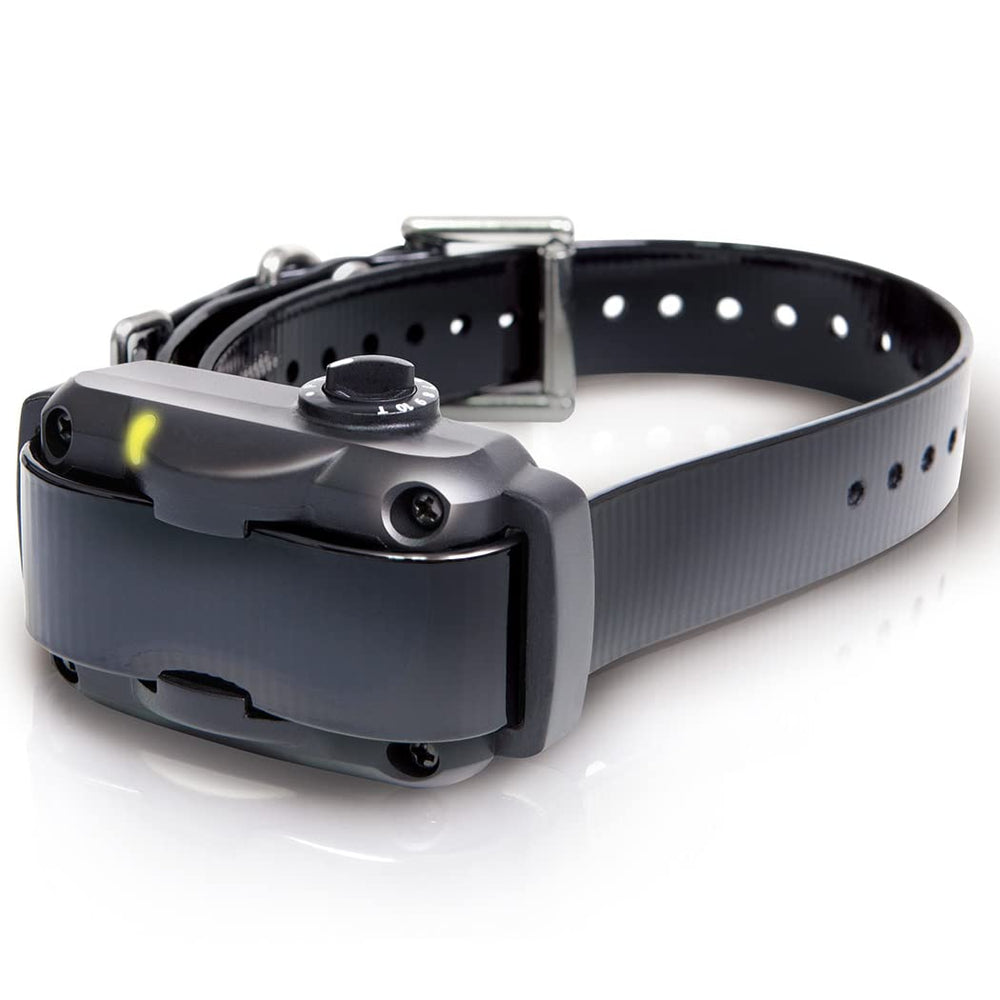 Dogtra YS600 waterproof build endures rain and swimming sessions.