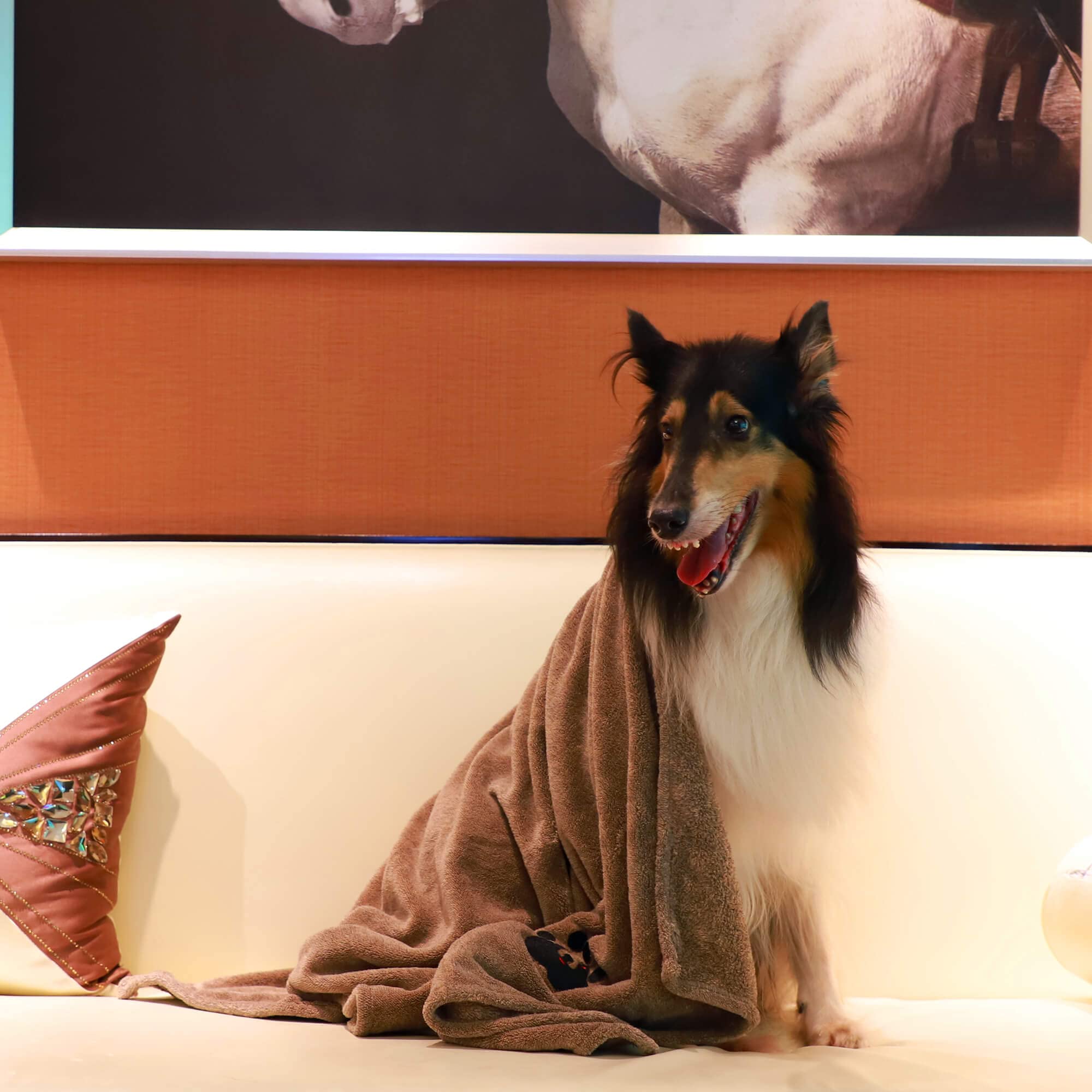 Dogvingpk travel-friendly towel used during trips