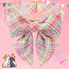 DOGWONG colorful plaid collar highlighting adjustable fit and soft comfort.