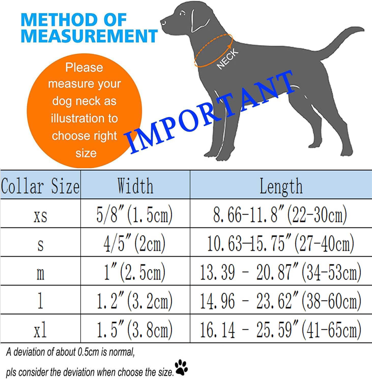 DOGWONG double-stitch collar offers durable construction.