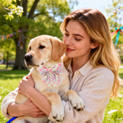 DOGWONG removable bow collar enables quick accessory swaps.