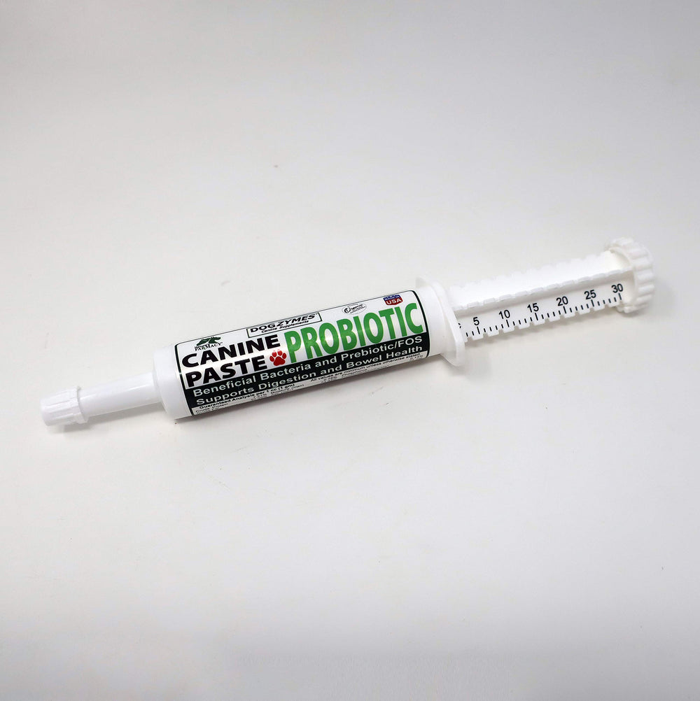 Dogzymes Canine Probiotic Paste jar ready for digestive support.