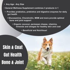 Dogzymes Complete bottle label shows glucosamine, chondroitin, MSM, and hyaluronic acid.