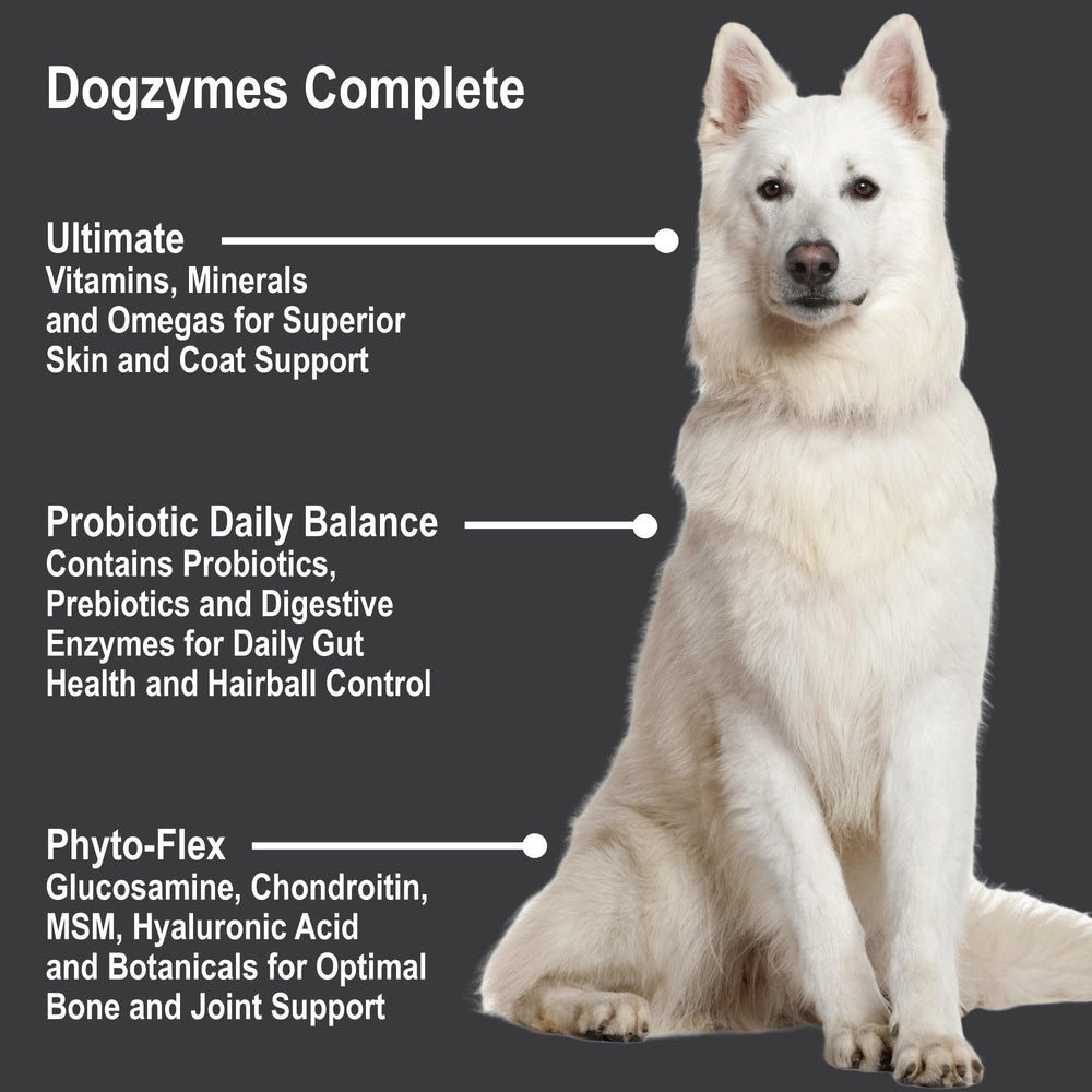 Dogzymes Complete coat-skin-care visual shows nourishment for a healthy coat