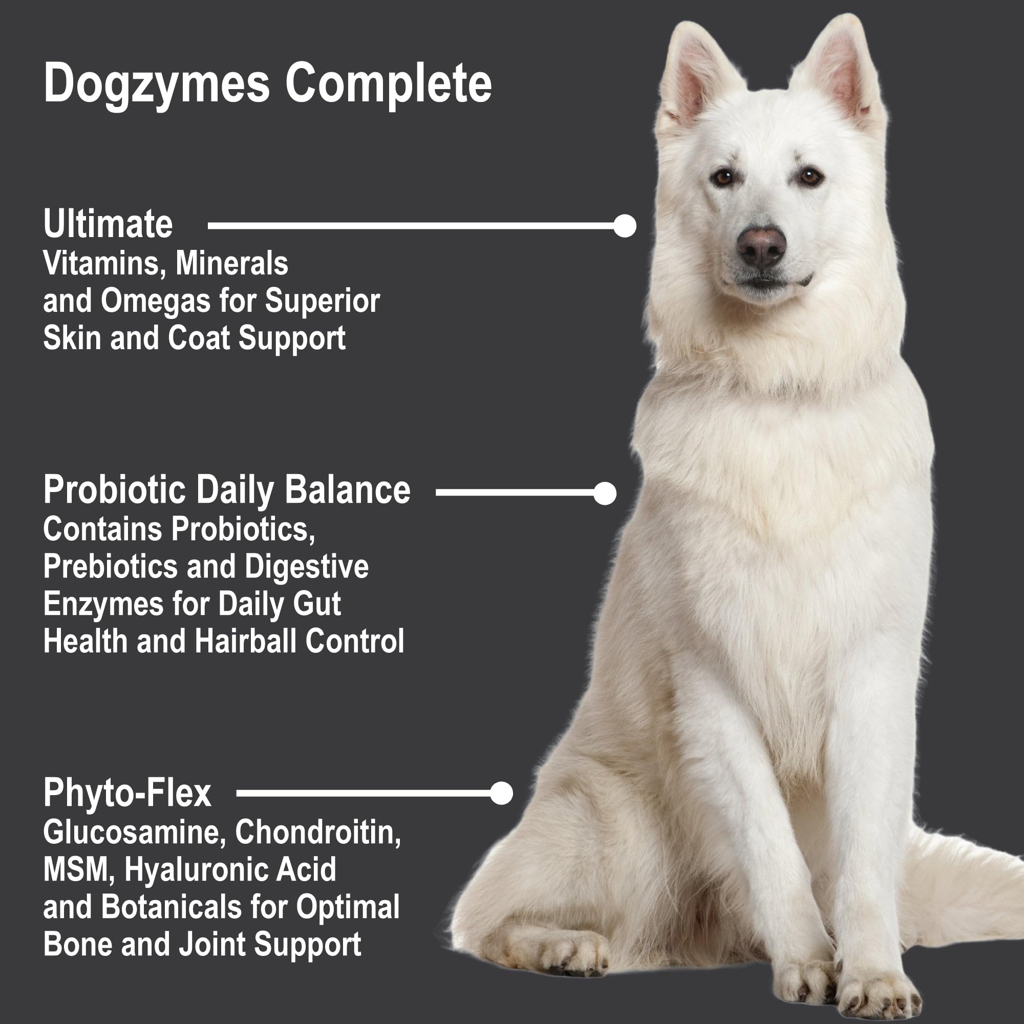 Dogzymes Complete digestive balance scene implies probiotics aid digestion.