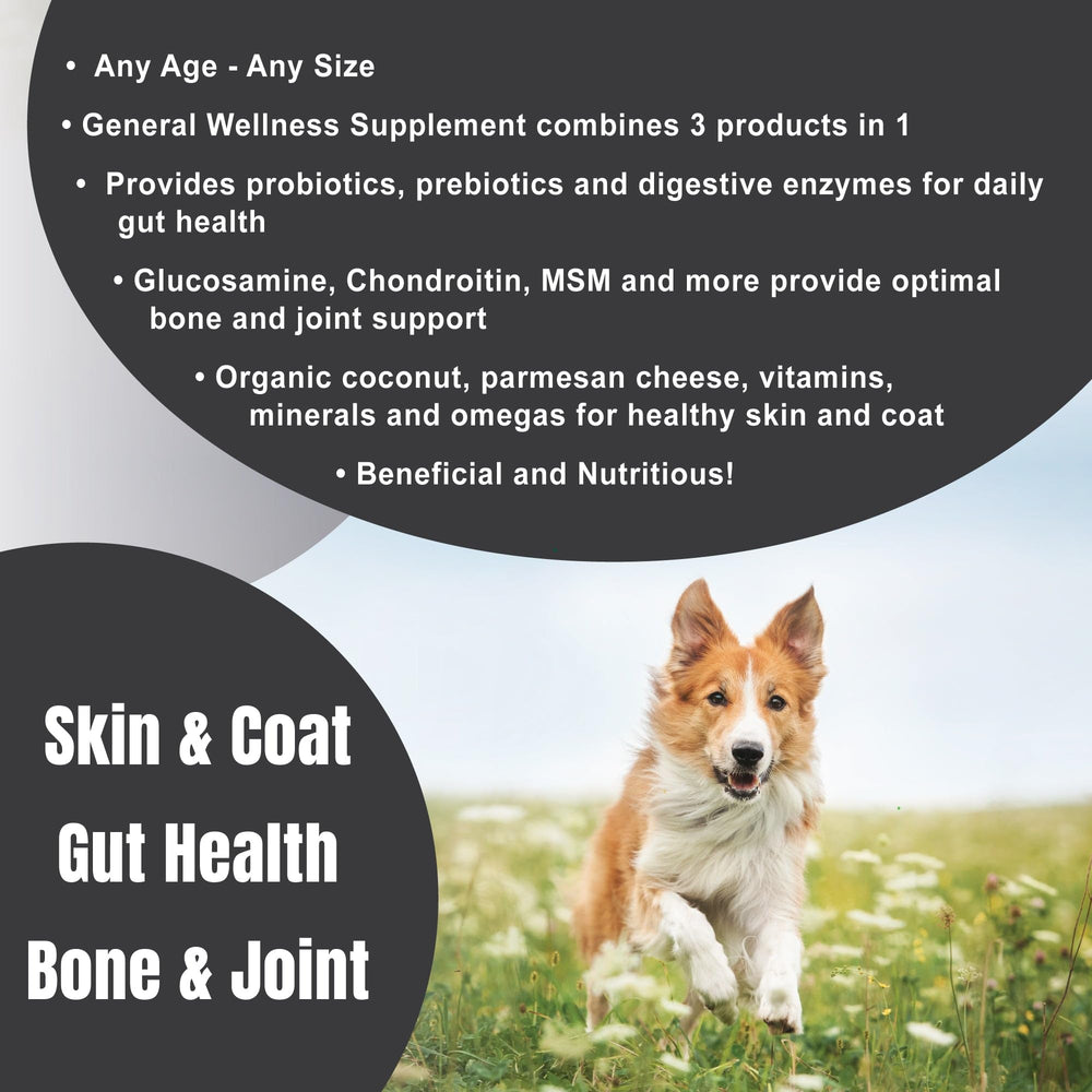 Dogzymes Complete scoop demonstrates convenient daily dosing for joint and digestion support