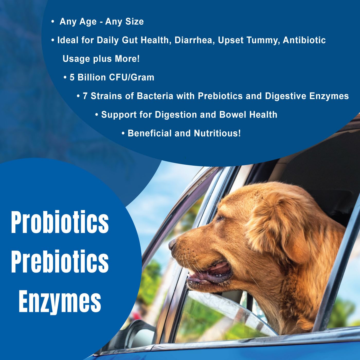Dogzymes dissolvable powder on dry food adds convenient daily supplementation