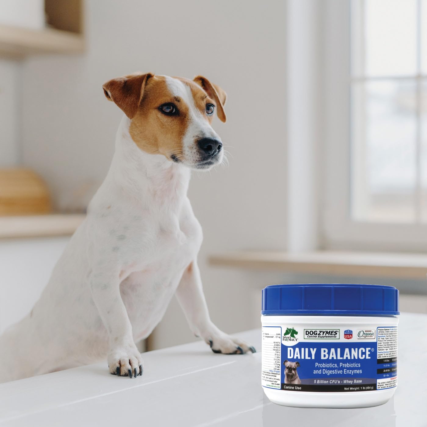 Dogzymes dissolvable powder label closeup highlights organic ingredients