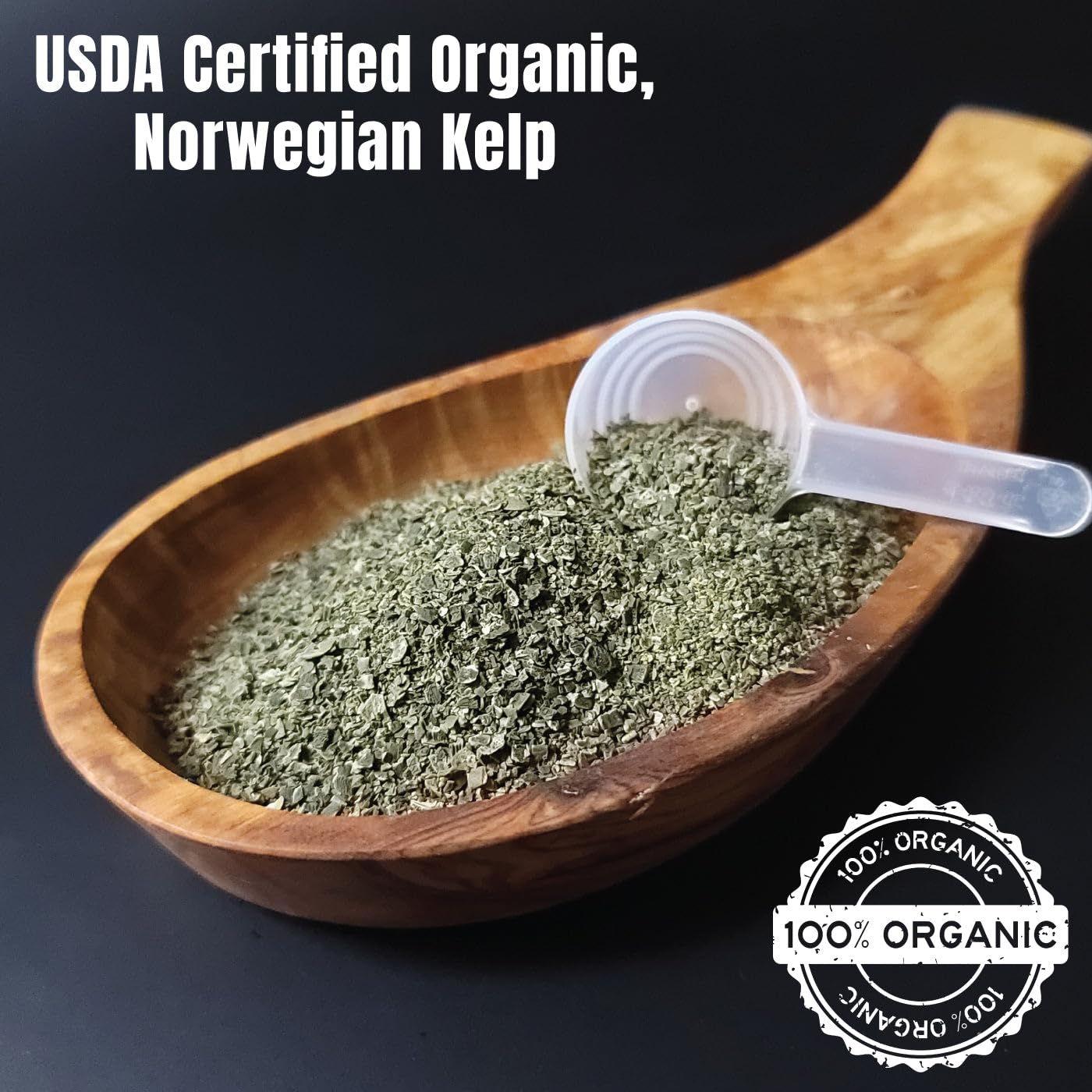 Dogzymes kelp digestive support image—supports gut comfort and appetite.