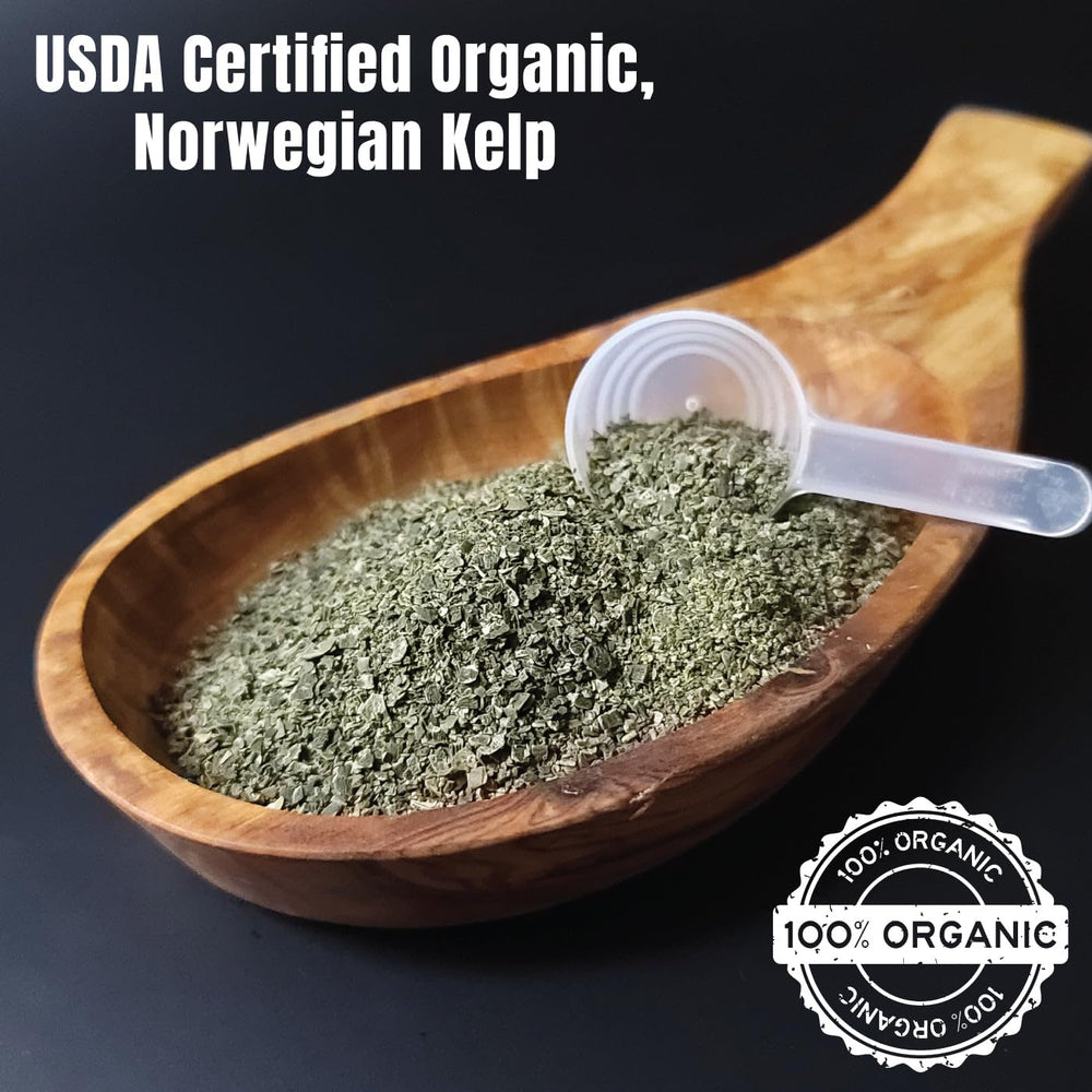 Dogzymes kelp digestive support image—supports gut comfort and appetite.