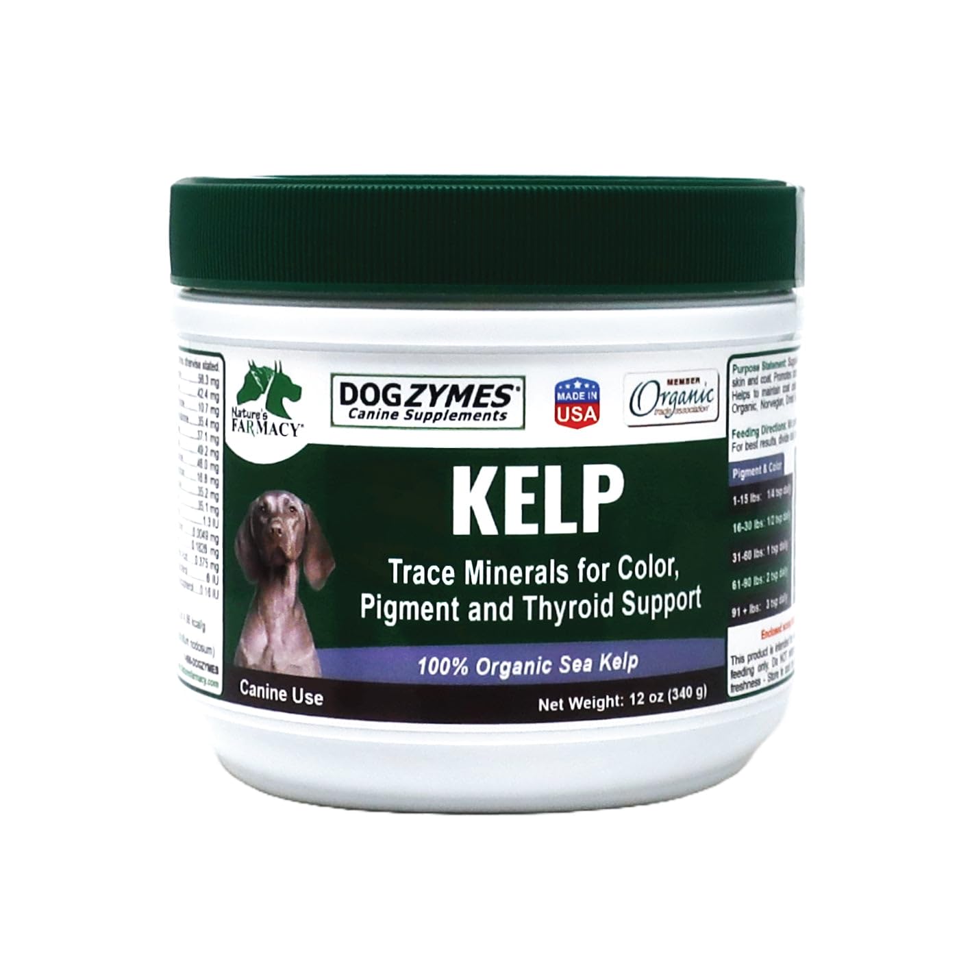 Dogzymes Organic Norwegian Kelp bottle close-up showing premium packaging and potential skin and coat support