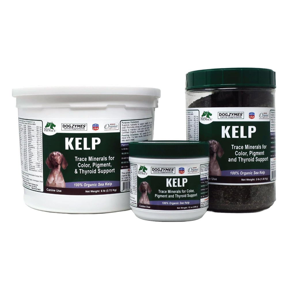 Dogzymes Organic Norwegian Kelp packaging label emphasizes organic certification and iodine-rich nutrition for glands