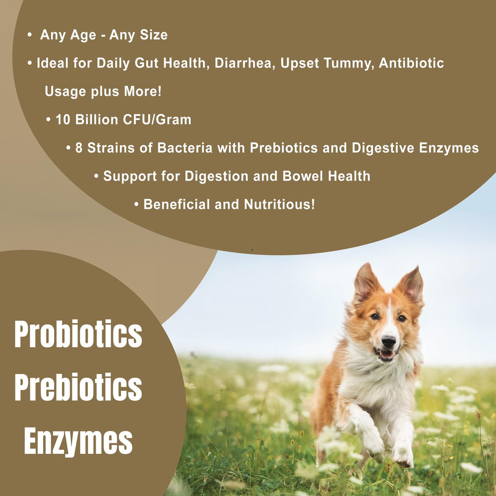 Ingredients panel of Dogzymes Probiotic Max highlighting probiotic strains and enzymes.