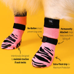 DOK TigerToes anti-slip on hardwood floor demonstrates stable footing for active dogs.