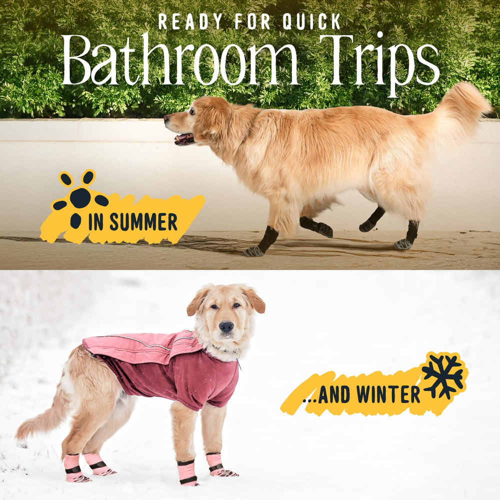 DOK TigerToes paw protection in summer demonstrates shielding paws from hot pavement.