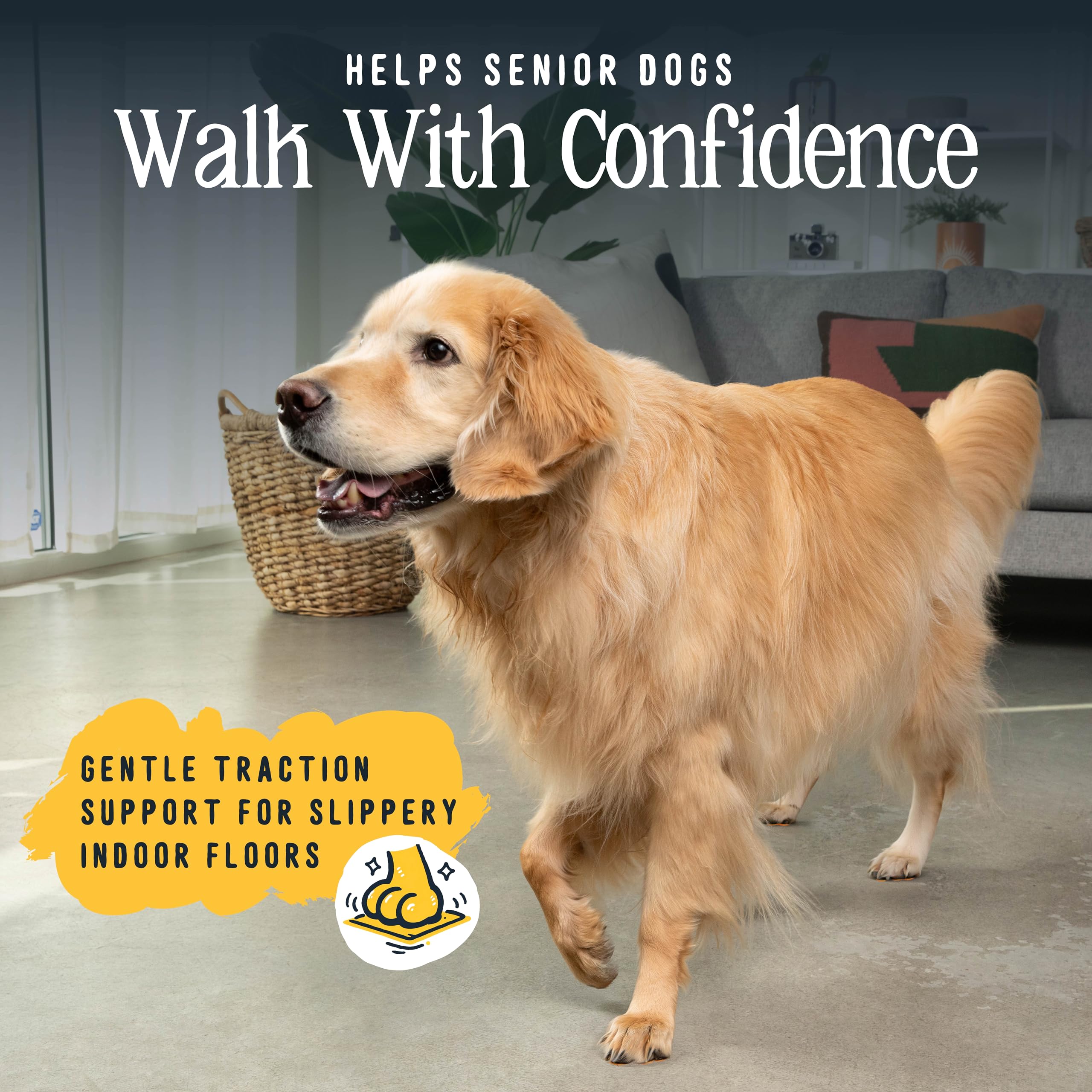DOK TigerToes improves senior dog stability on slick surfaces.