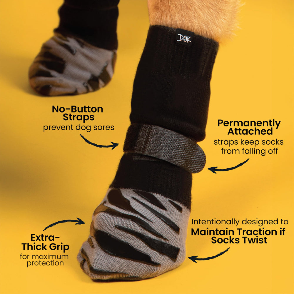 Senior dog wearing TigerToes on hardwood floor for mobility support
