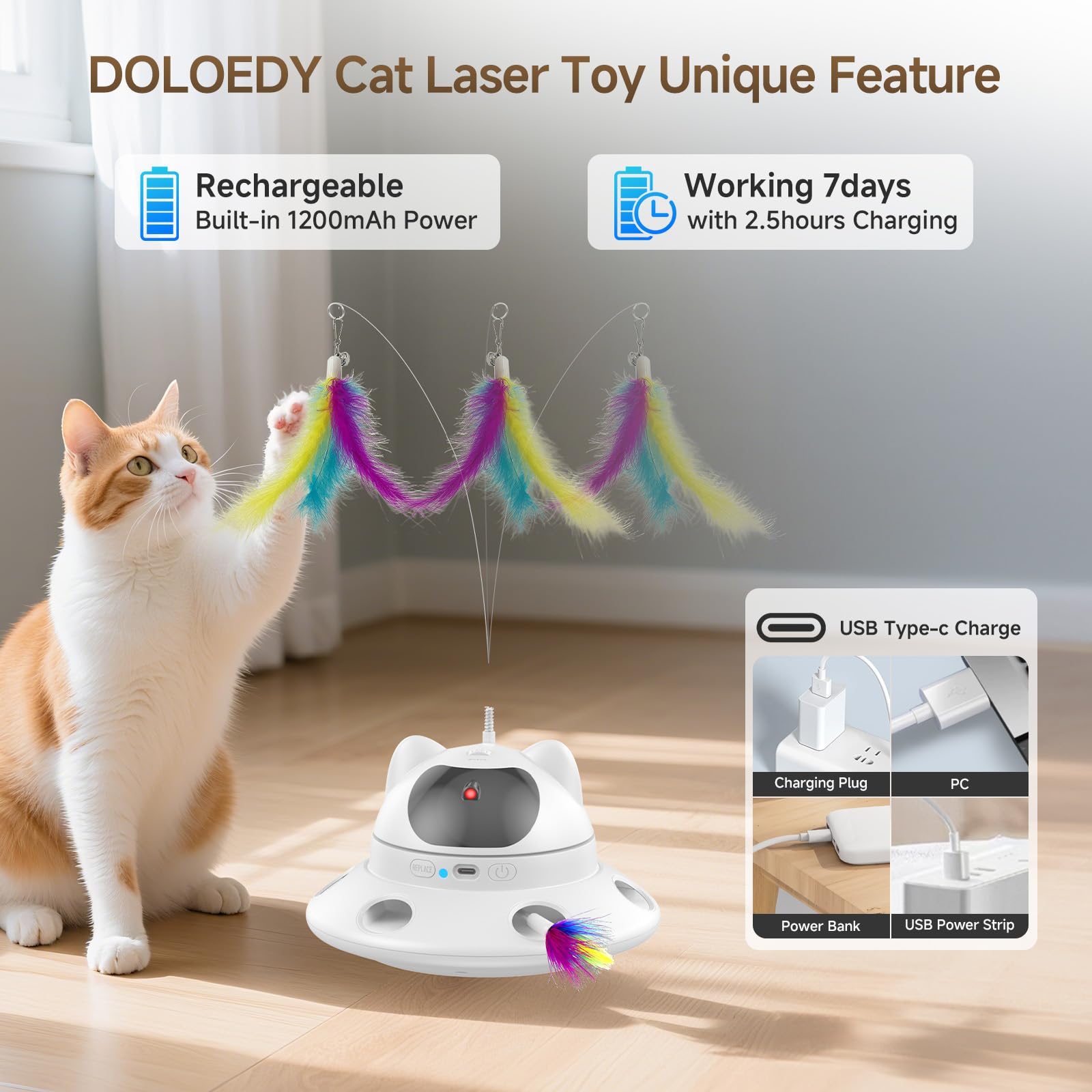 DOLOEDY cat laser toy silent motor for quiet evenings.