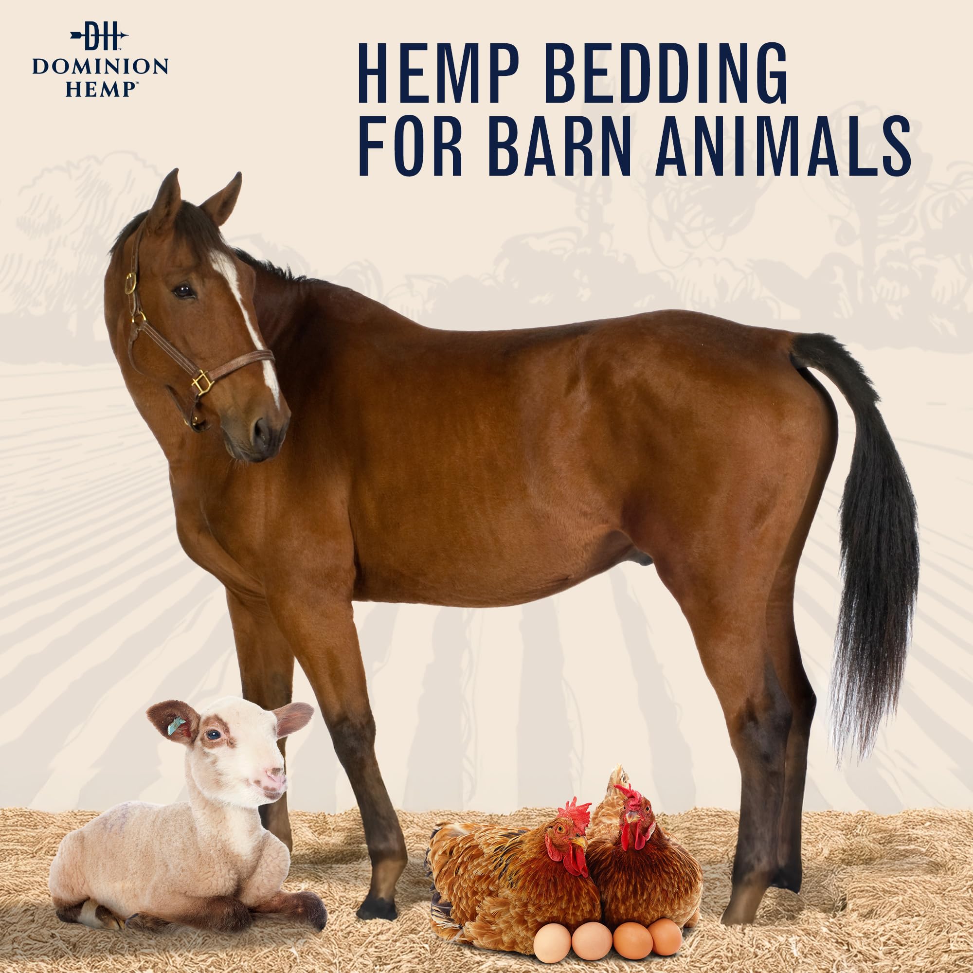 Dominion Hemp Bedding in a brood area with low-dust comfort.