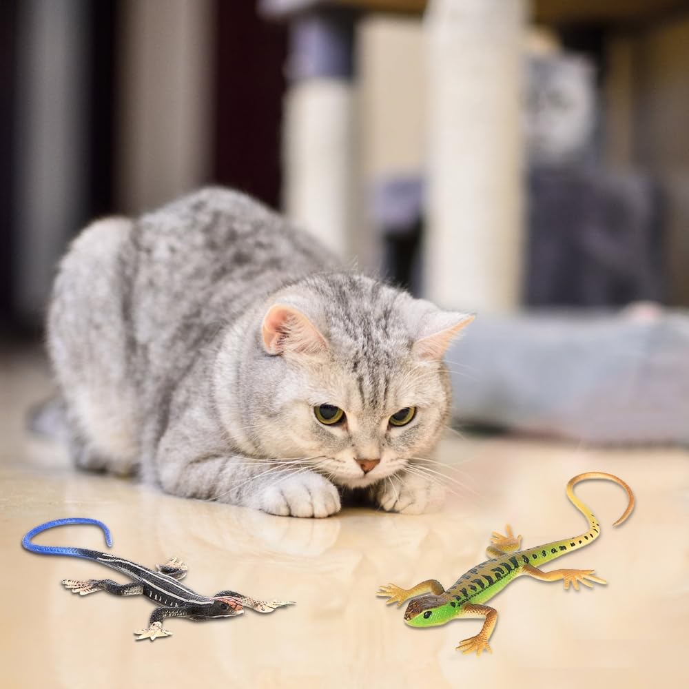Perfect Halloween or Christmas gift for cats who stalk.