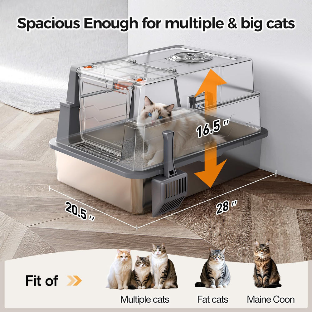 Donlinno XXXL litter box open design enabling kitten-friendly access