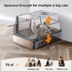 Donlinno XXXL litter box open design enabling kitten-friendly access