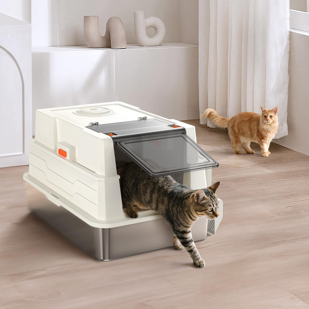 Donlinno XXXL durability supports busy, multi-cat households.