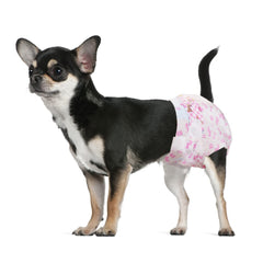 Dono disposable dog diapers female with fur-safe fasteners for a gentle, secure fit.