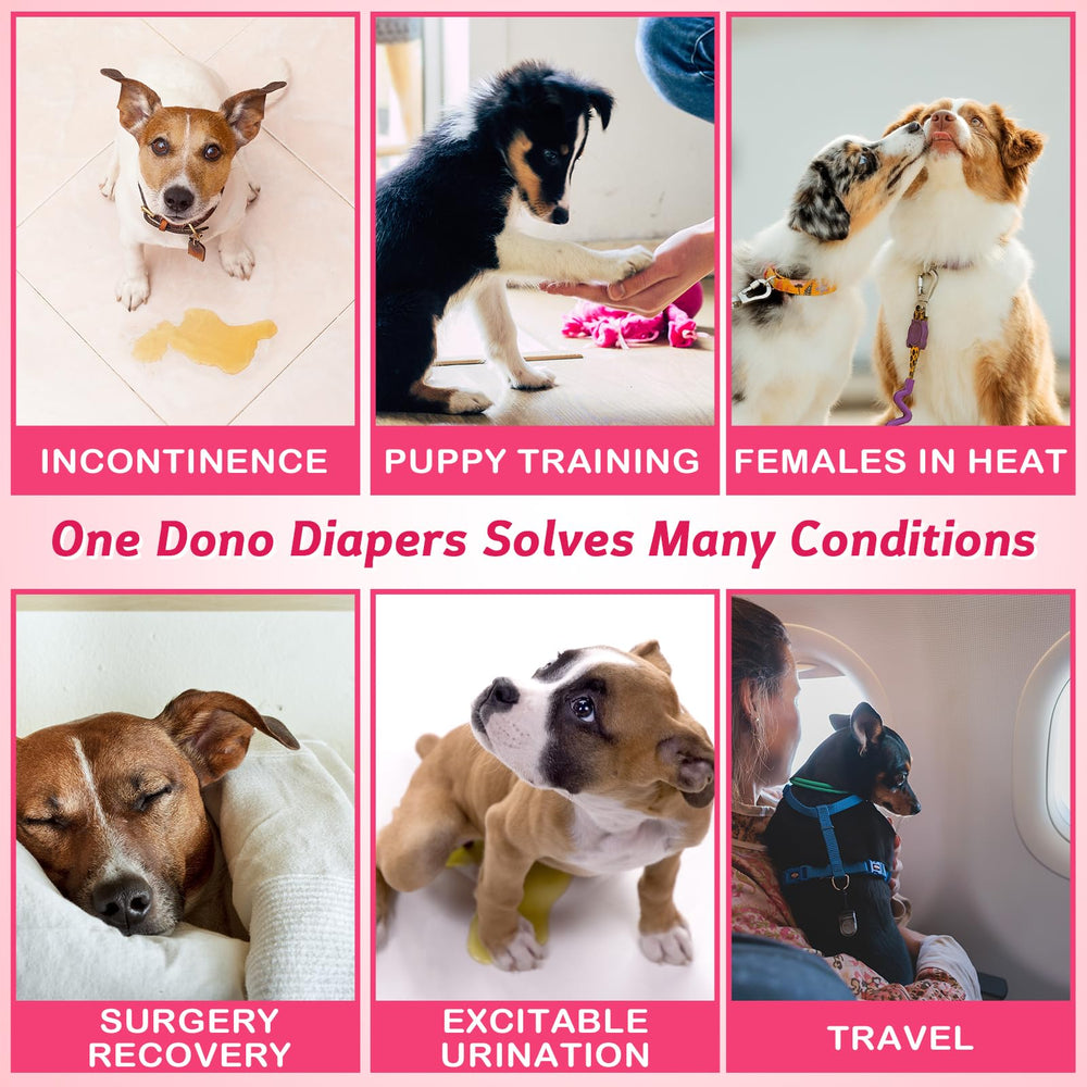 Medium 42-count package provides reliable supply for small to medium dogs.
