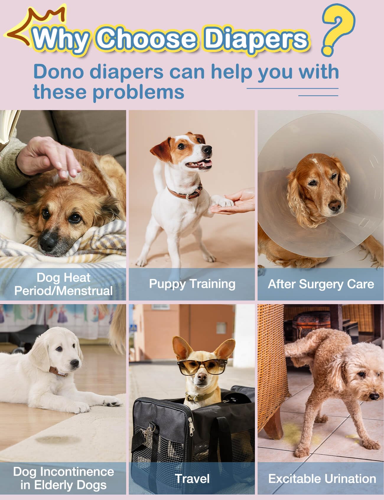 Dono dog diapers suit all life stages and activities with reliable protection.