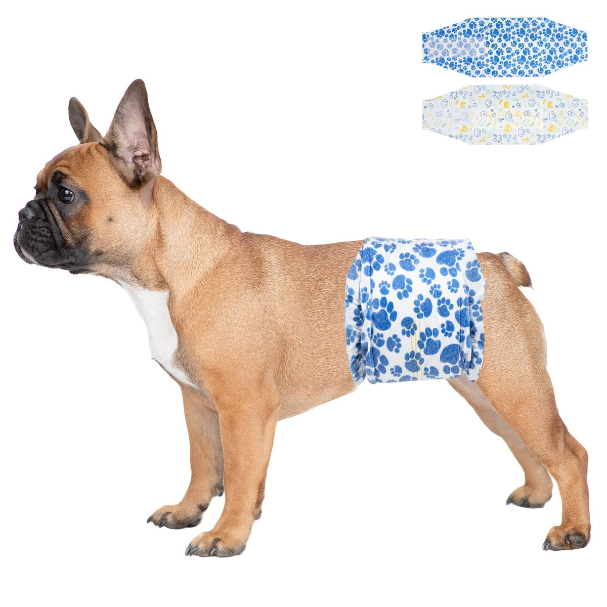 Dono dog diapers in blue paw pattern protect small dogs during walks.