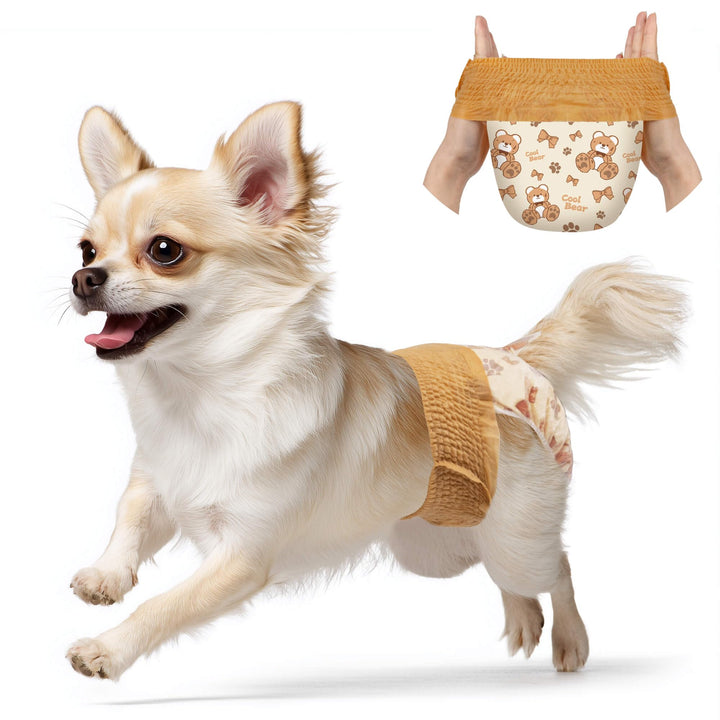 Dono Dog Diapers Female with 360° waistband for a secure fit on small to medium dogs