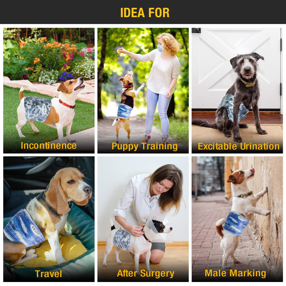 Dono Dog Diapers case highlighting practical use cases for excitatory urination